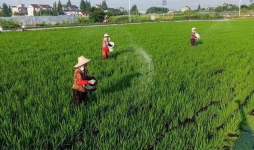 中国重点复合肥企业竞争力分析与评价报告