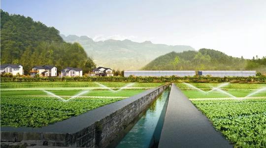 中国水溶肥市场研究报告