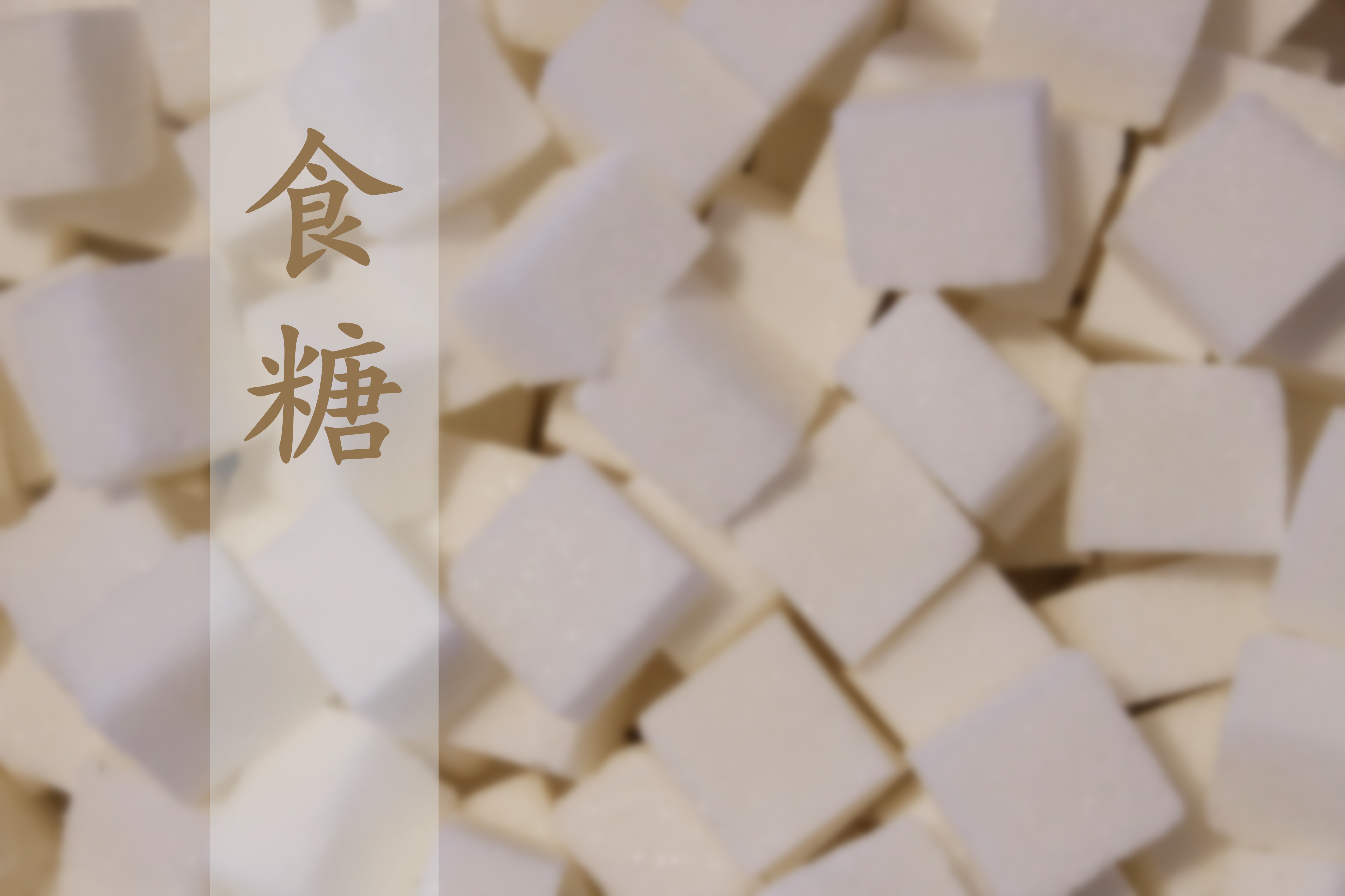 中国食糖产业发展与投资研究报告（2024/2025）